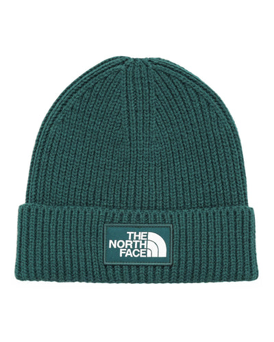 The North Face Logo Cuffed Beanie Duck Green czapka zimowa